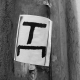 [1953.jpg]